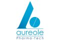 Aureole - Ấn Độ