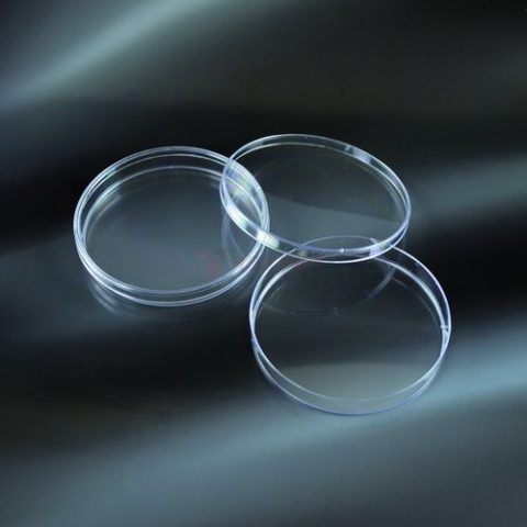 Đĩa petri nhựa Aptaca 100mm tiệt trùng có 3 gờ thông khí