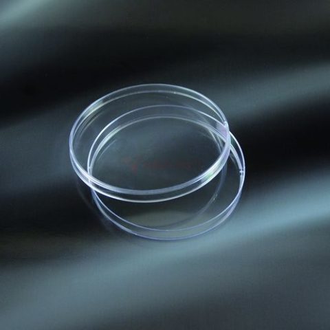 Đĩa petri nhựa Aptaca 120mm