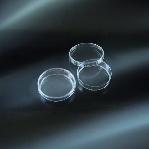 Đĩa petri nhựa Aptaca 60mm Đĩa petri nhựa Aptaca 60mm
