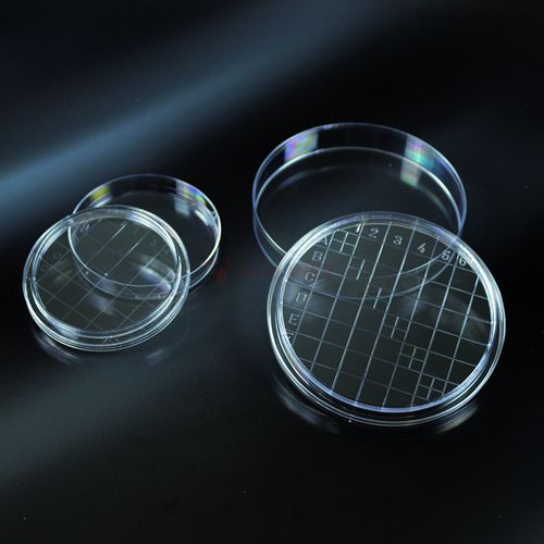 Đĩa petri nhựa Aptaca 55mm tiệt trùng kẻ sọc