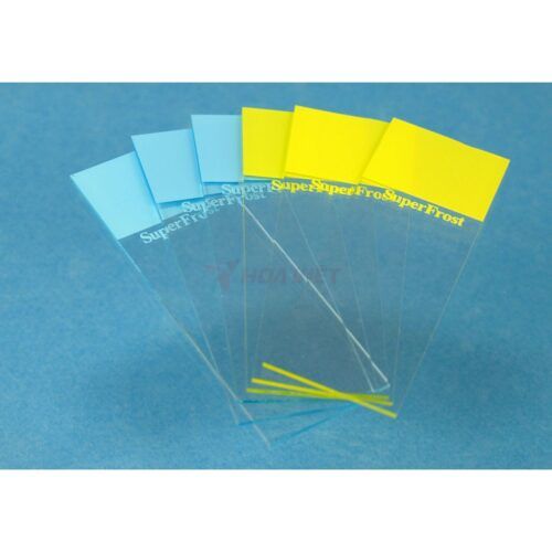 Lam kính thủy tinh Assistant 76x26mm có CE hồng Lam kính thủy tinh Assistant 76x26mm có CE hồng