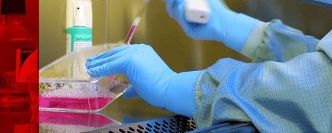 New: Guidelines on Health Insurance Coverage for COVID-19 Testing Costs