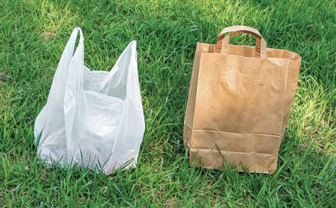 Are paper bags truly 